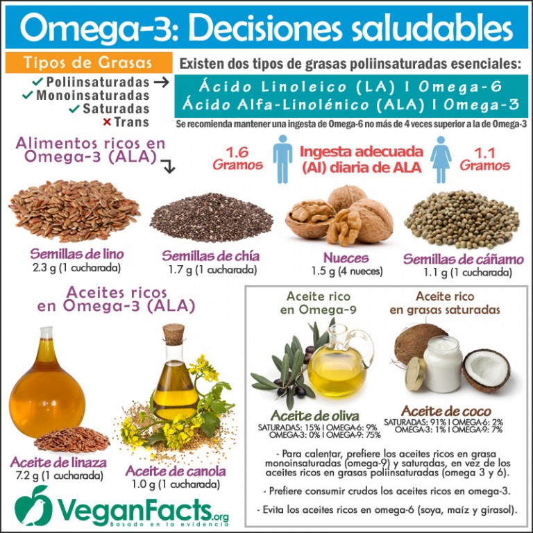 Fuentes De Proteínas Vegetales En La Dieta Vegana Y Vegetariana Infografías Nutrición Vegana 8685