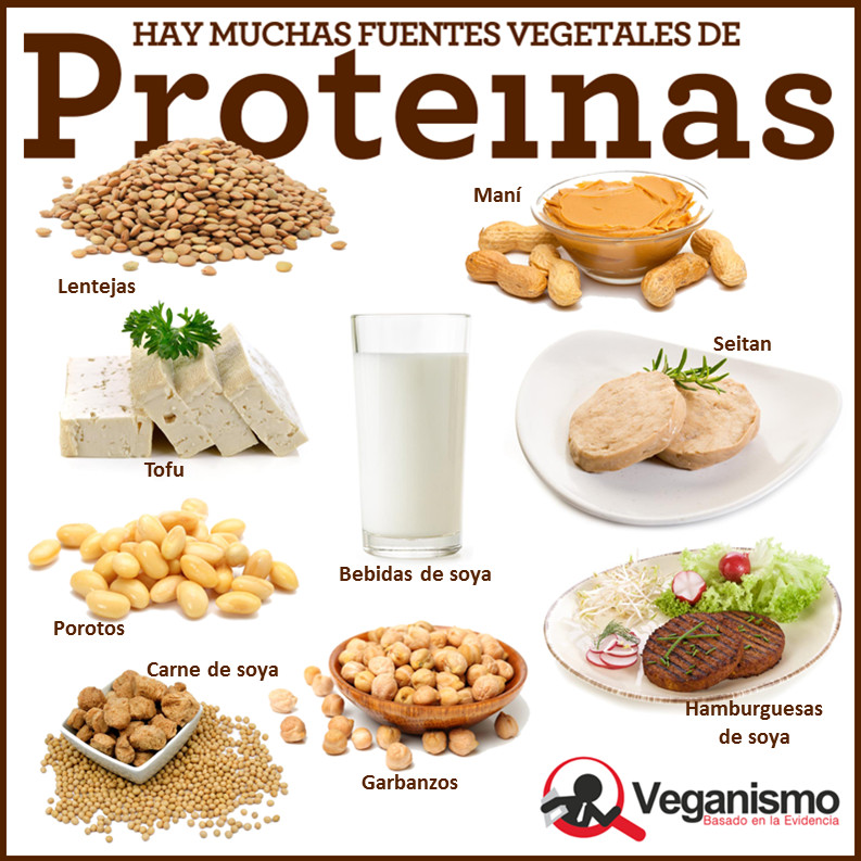 Fuentes De Proteínas Vegetales En La Dieta Vegana Y Vegetariana Infografías Nutrición Vegana 4972