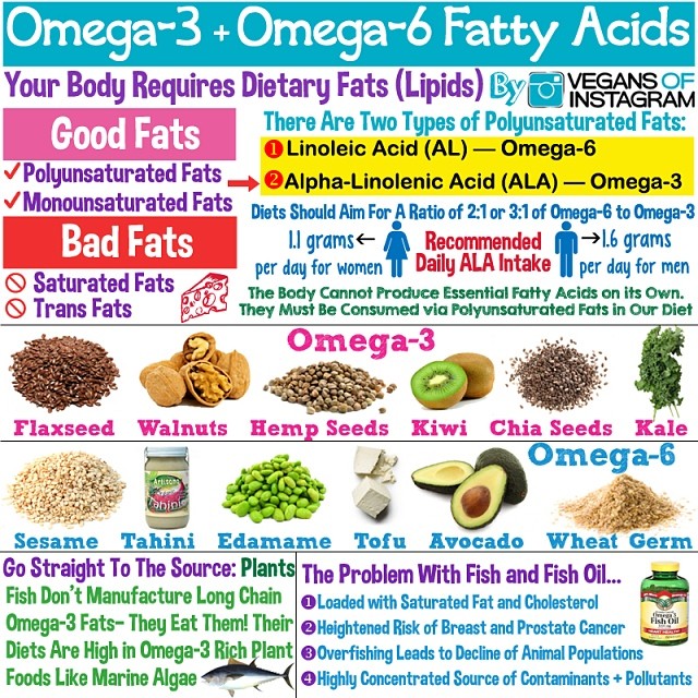 acidos-grasos-omega-3-omega-6-en-la-dieta-vegana-vegetariana-mitos-y-realidades-ingles