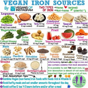 hierro-en-la-dieta-vegana-vegetariana-mitos-y-realidades-ingles