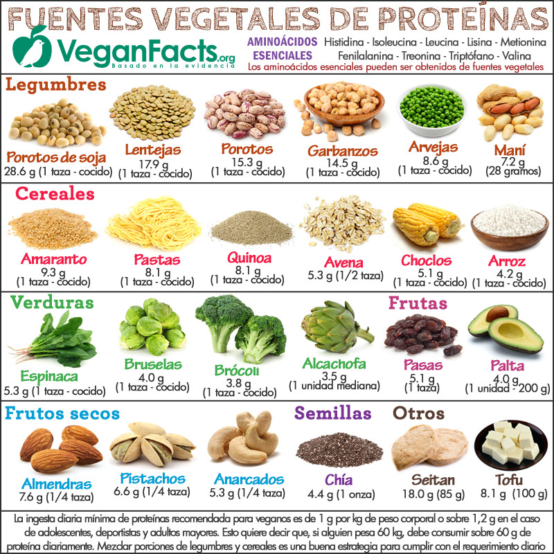 proteinas-en-la-dieta-vegana-vegetariana-mitos-y-realidades-infografia-2
