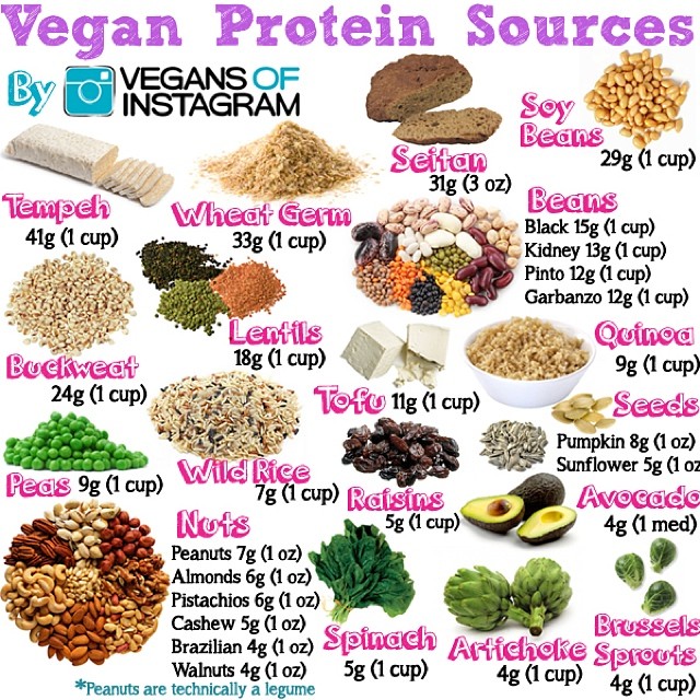 proteinas-en-la-dieta-vegana-vegetariana-mitos-y-realidades-ingles